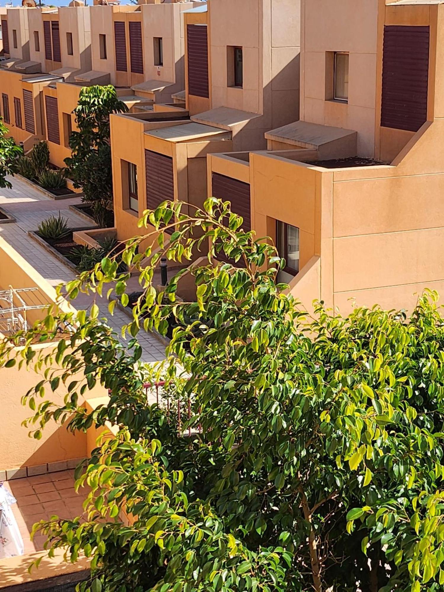 Apartament Bahia Sol Deluxe